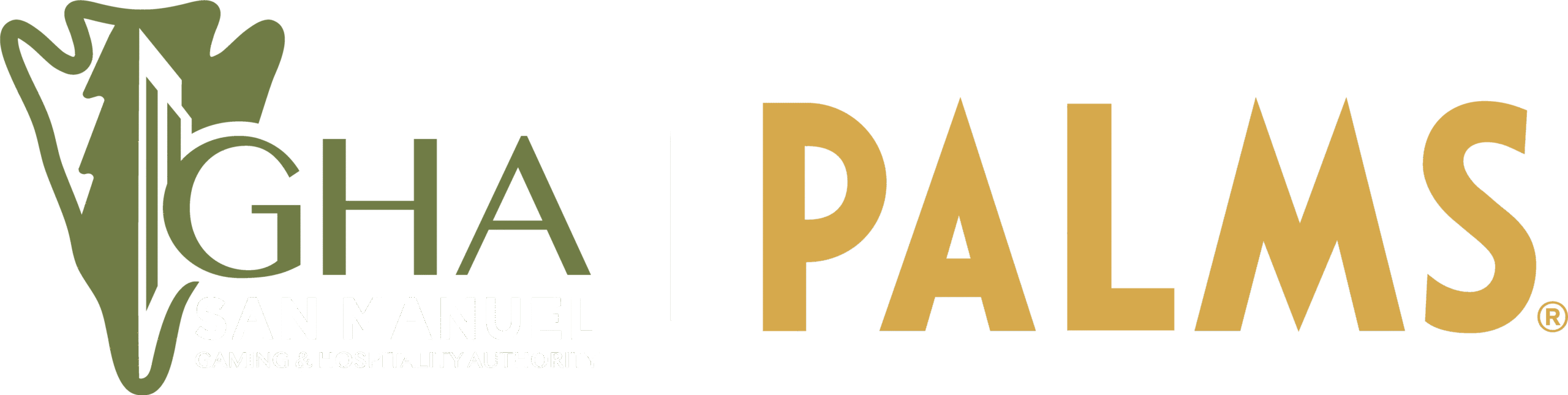 GHA PALMS logo